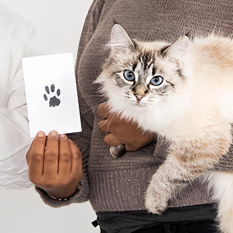 Kit Impronta Zampa per Cani e Gatti – Cornice Ricordo Animali Domestici